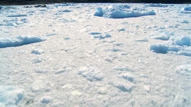 Formations glaciaires dans une mer gelée — Video