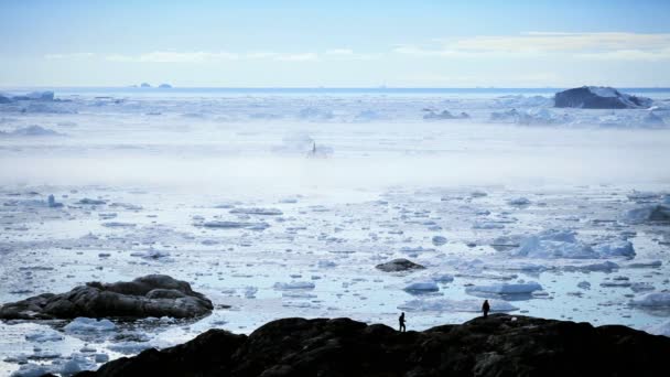 Tourists Overlooking Icebergs & Ice Floes — Stock Video