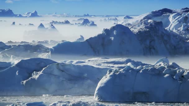 Smältande isflak som flyttar mellan isberg — Stockvideo