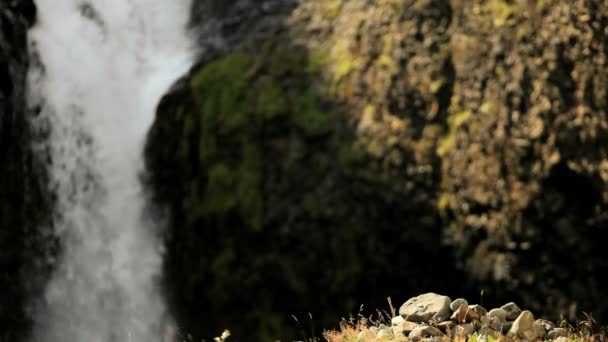 Female Hiker Stopping at Waterfall — Stock Video