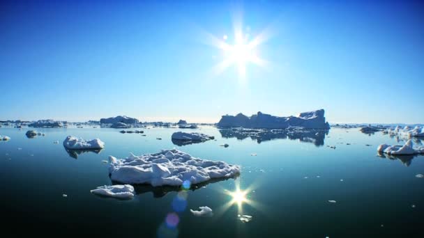 Drifting Past Icebergs Broken from Glaciers — Stock Video