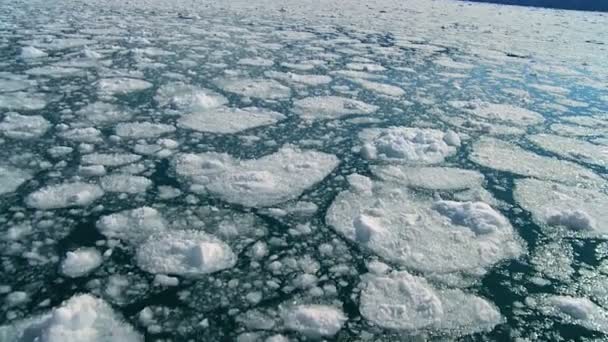 Hielo glacial derretido en agua en movimiento — Vídeo de stock