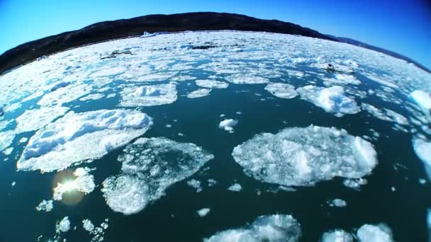 Geniş açı deniz buz dondurulmuş — Stok video