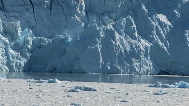 Mořští ptáci poblíž ledové útesy — Stock video
