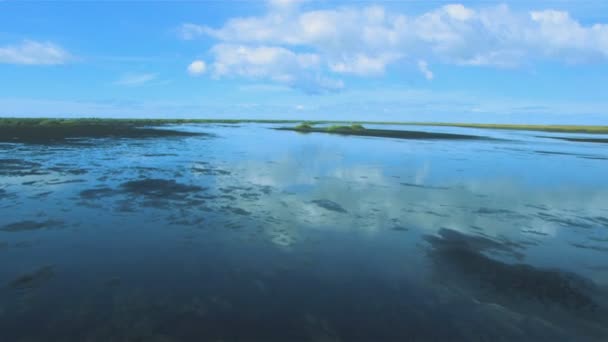 Flygfoto över isländska smältvatten, vegetation, & vulkanisk aska — Stockvideo