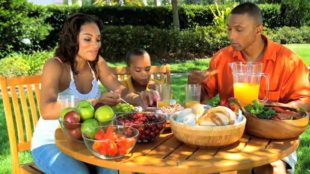 Junge ethnische Familie teilt ein gesundes Mittagessen im Freien — Stockvideo