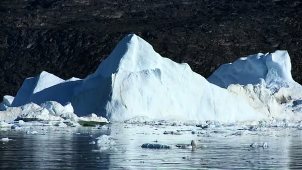 Grande iceberg flutuante quebrado de uma geleira — Vídeo de Stock