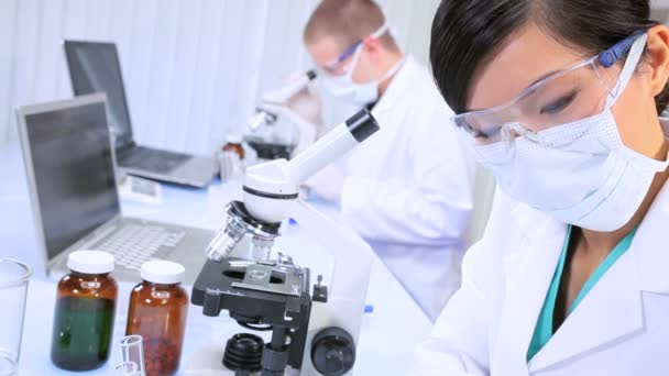 Assistentes de Pesquisa Trabalhando em Laboratório Médico — Vídeo de Stock