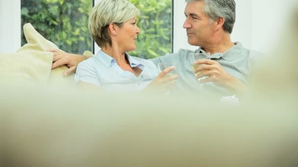 Mature Couple Celebrating a Birthday with Champagne — Stock Video