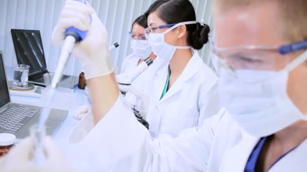 Laboratorium assistenten werken op gegevens van het onderzoek — Stockvideo