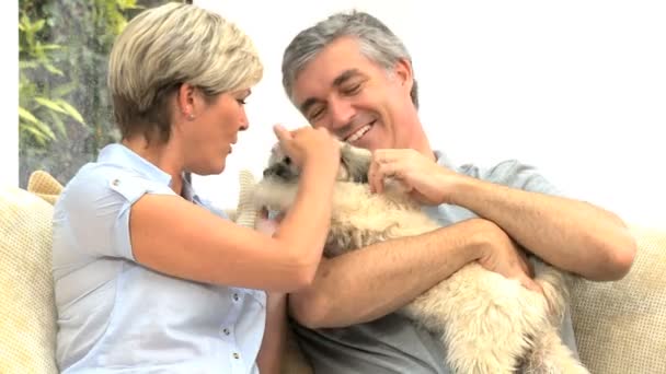 Pareja madura acariciando a su perro — Vídeos de Stock