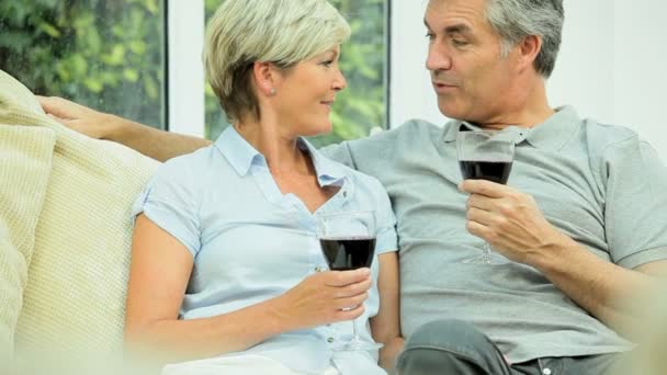 Couple d'âge moyen à la maison Boire du vin rouge — Video