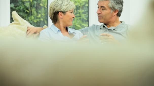 一对成熟的夫妇用香槟庆祝 — 图库视频影像