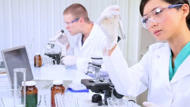 Pesquisadores Médicos Trabalhando em Laboratório Hospitalar — Vídeo de Stock