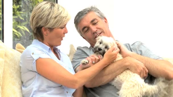 Pareja madura acariciando a su perro — Vídeos de Stock