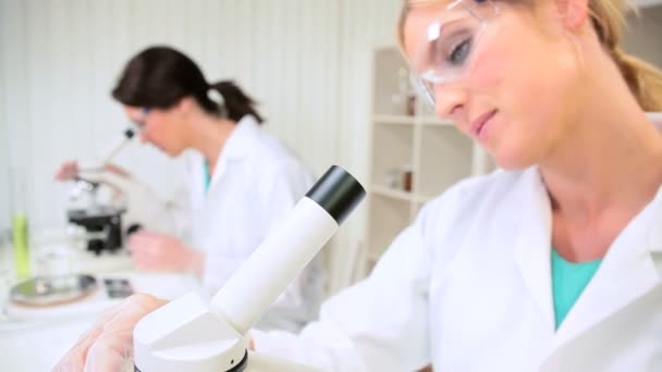 Female Medical Researchers Using Microscopes — Stock Video