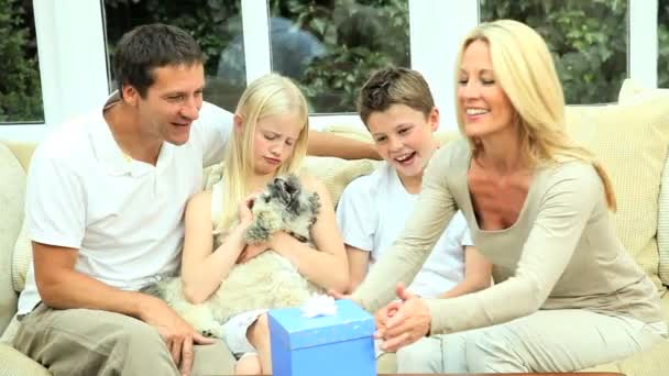 Young Boy Receiving Birthday Gift from Parents — Stock Video