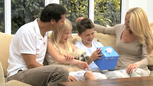 Beyaz çocuk alıcı doğum günü hediyesi — Stok video