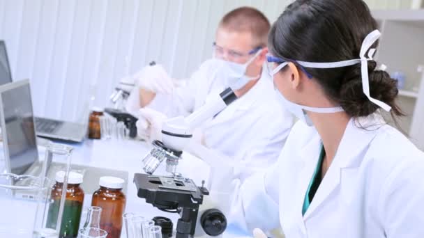 Doctores Estudiantiles Trabajando en Laboratorio de Investigación — Vídeos de Stock