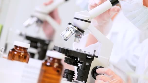 Asistentes de investigación que utilizan microscopios de laboratorio — Vídeo de stock
