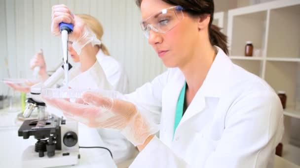 Vrouwelijke onderzoeksmedewerkers in ziekenhuis laboratorium — Stockvideo