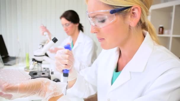 Pesquisadoras Médicas Femininas em Laboratório — Vídeo de Stock