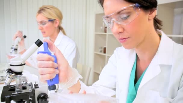 Research Assistants Using Test Tubes and Pipettes — Stock Video