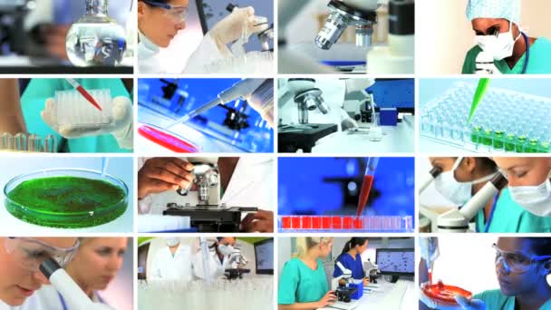 Multiple Montage Images of Scientific Medical Research — Stock Video