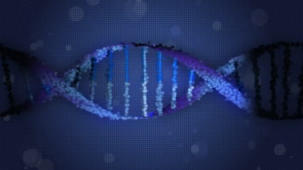 3D Magnification Render of DNA Spiral — Stock Video
