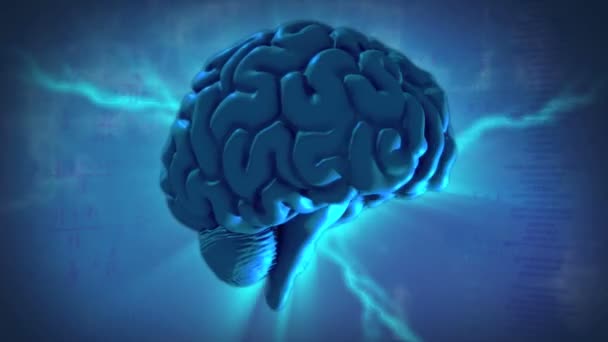 3D κίνηση γραφικών του ενός ανθρώπινου εγκεφάλου — Αρχείο Βίντεο