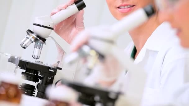 Medical Researchers Using Microscopes — Stock Video