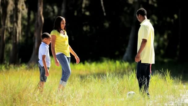 在公园踢球的快乐民族大家庭 — 图库视频影像