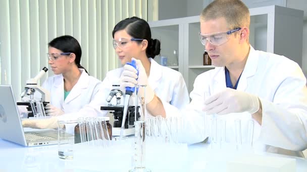 Investigadores médicos que trabajan en el laboratorio hospitalario — Vídeos de Stock