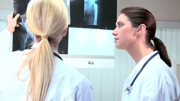 Doctores jóvenes mirando los rayos X — Vídeo de stock