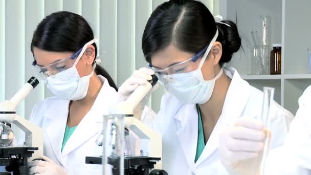 Três assistentes no Laboratório de Pesquisa Médica — Vídeo de Stock