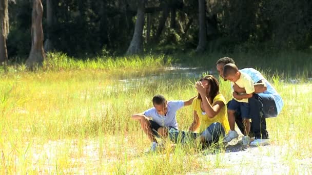Молодая этническая семья в парке — стоковое видео