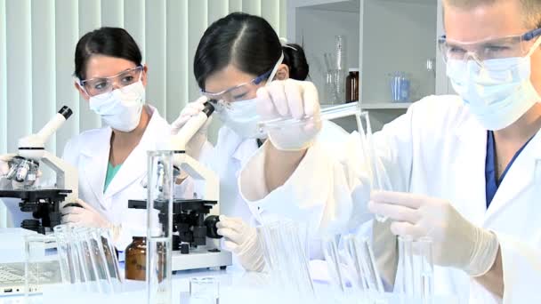 Drei Forschungsstudenten im medizinischen Labor — Stockvideo