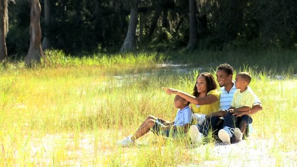 African American Family Enjoying Time Outdoors — Stock Video