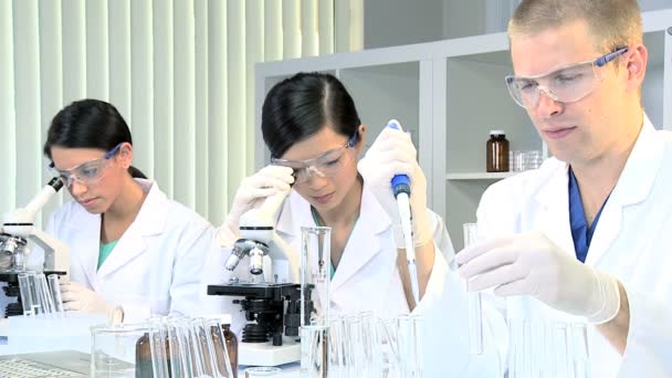 Drie studenten werken in medisch laboratorium onderzoek — Stockvideo