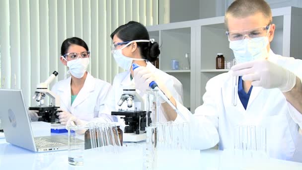 Научные сотрудники, работающие в медицинской лаборатории — стоковое видео