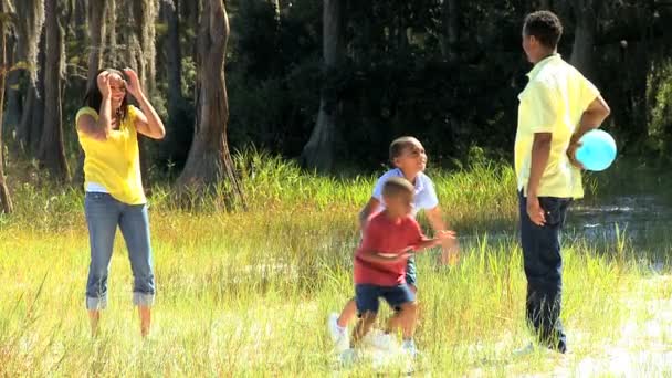 Afro-Amerikaanse familie in park spelen bal — Stockvideo