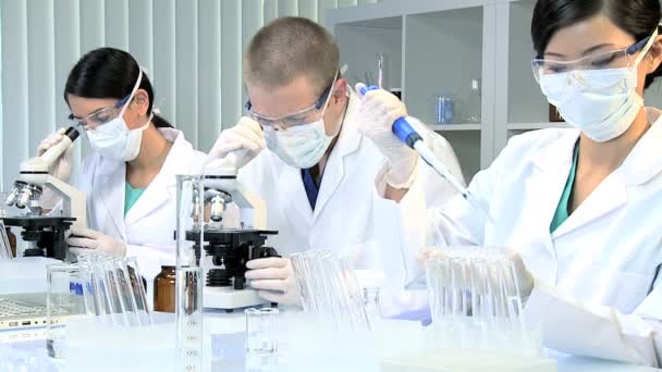 Três estudantes de pesquisa que trabalham em laboratório médico — Vídeo de Stock