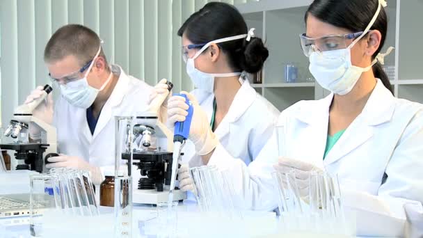 Medical Researchers Working in Hospital Laboratory — Stock Video