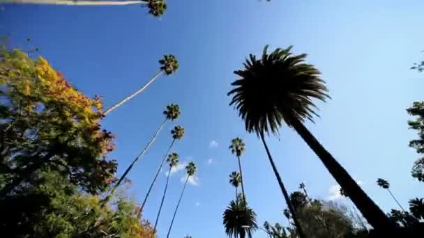 Point de vue ascendant Conduite de banlieue — Video