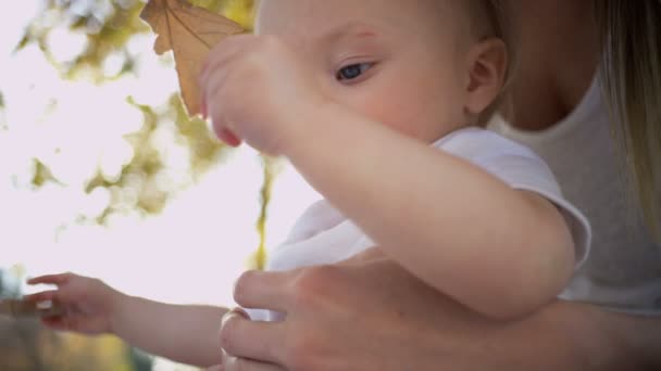 Lindo bebé y mamá al aire libre — Vídeo de stock