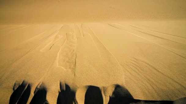 Fechar as dunas de areia em movimento — Vídeo de Stock