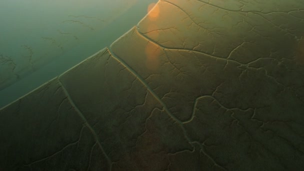 Aerial view of restored wetlands to produce salt — Stock Video