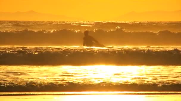 Surfer oceanen solnedgång livsstil — Stockvideo