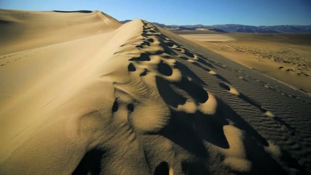 Dunas de areia Ambiente sem água — Vídeo de Stock