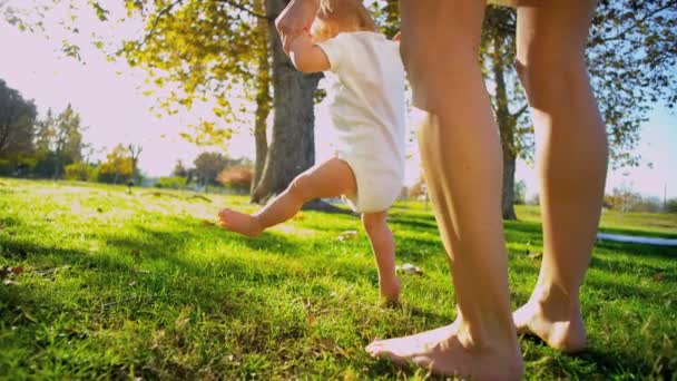 Baby Practicing First Steps — Stock Video